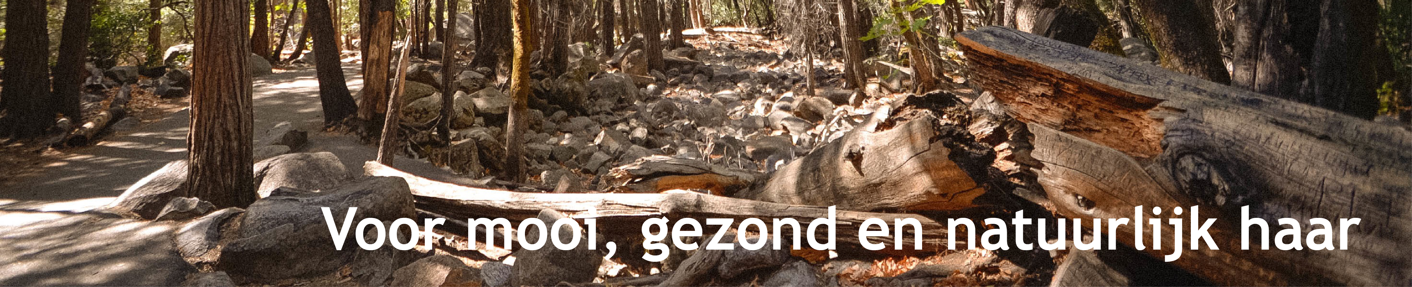 kapper leidschendam