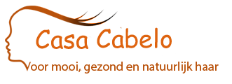 kapper leidschendam