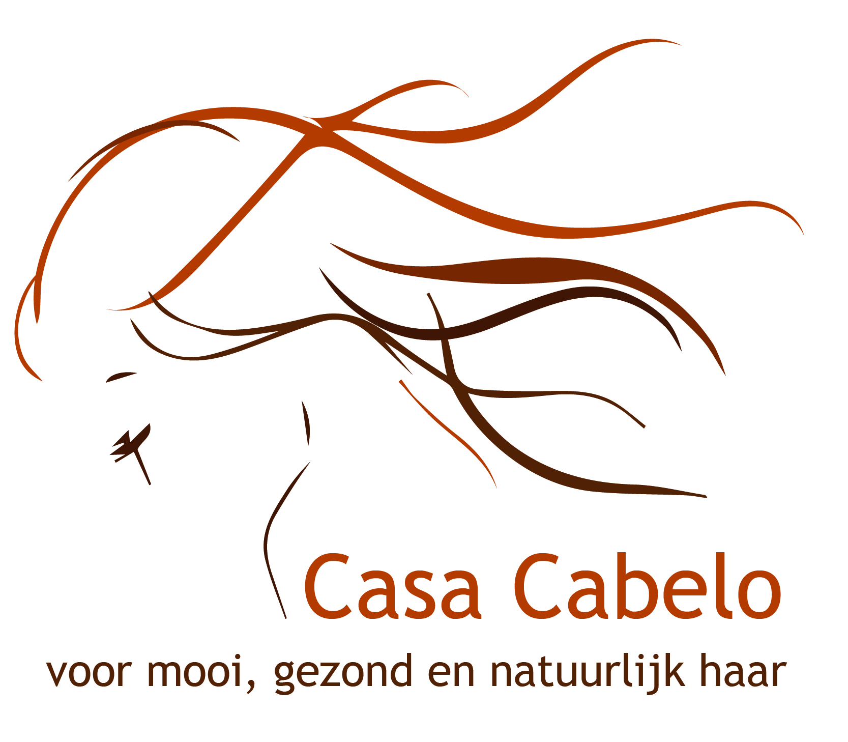 kapper leidschendam